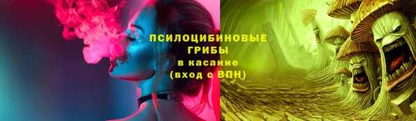 крисы Богданович
