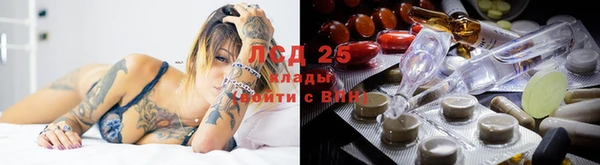 крисы Богданович