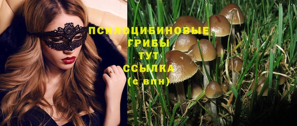 гашишное масло Богородицк