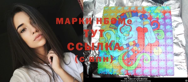 молекула духа Бородино